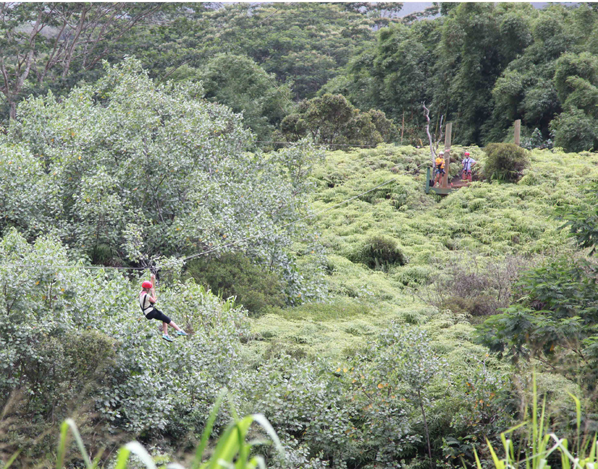 6-10-11_Zip_line_Kauai_174.jpg